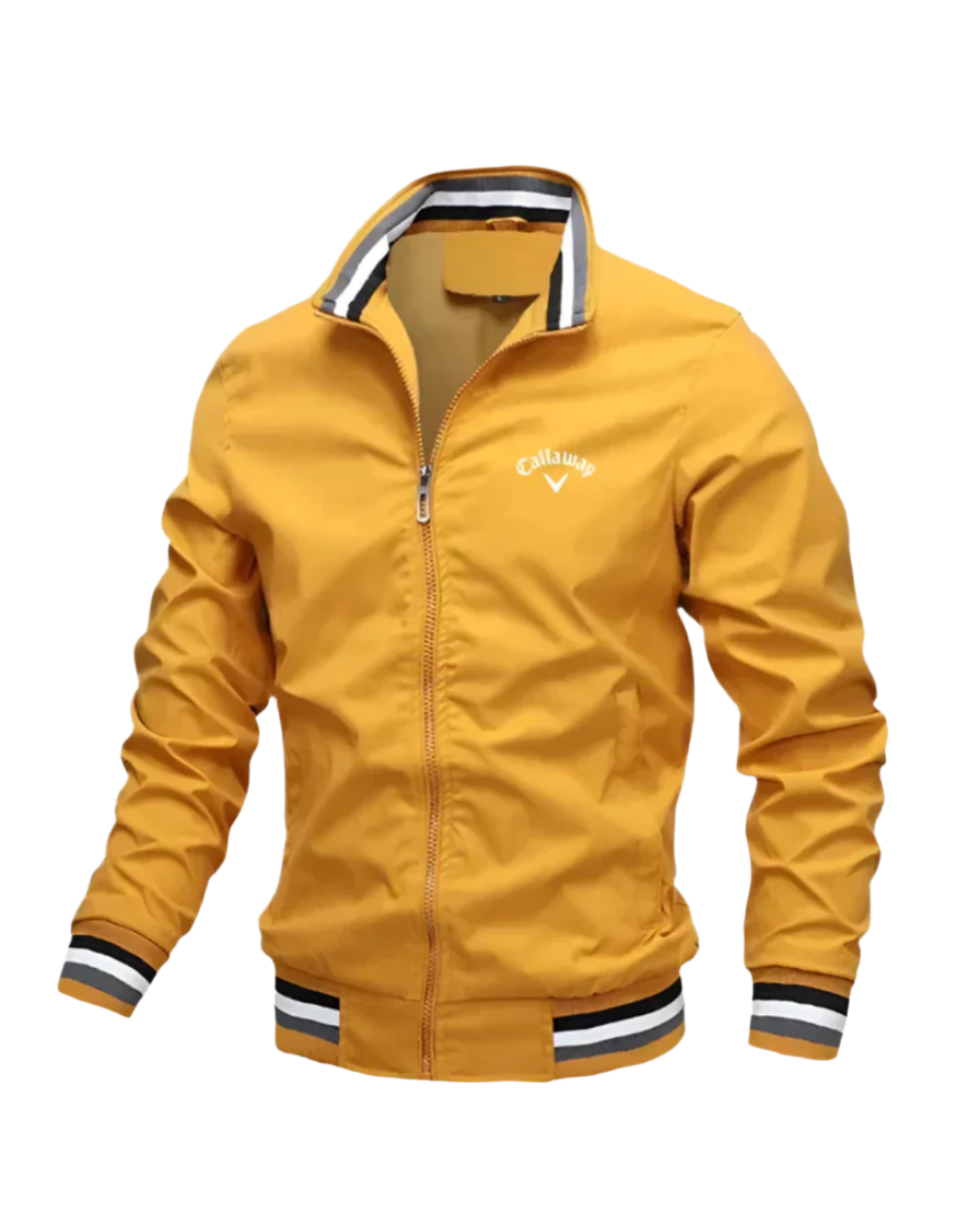 Veste zippée casual